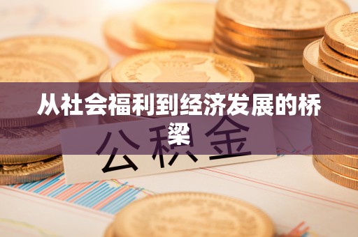 洪湖从社会福利到经济发展的桥梁