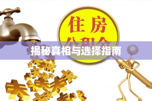 洪湖揭秘真相与选择指南
