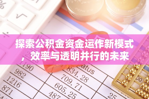 洪湖探索公积金资金运作新模式，效率与透明并行的未来