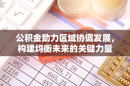 洪湖公积金助力区域协调发展，构建均衡未来的关键力量