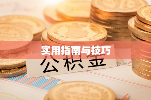 洪湖实用指南与技巧