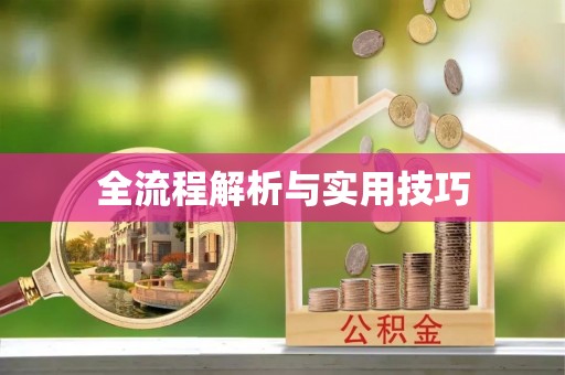 洪湖全流程解析与实用技巧