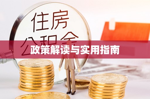 洪湖政策解读与实用指南