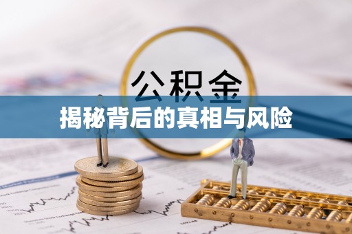 洪湖揭秘背后的真相与风险