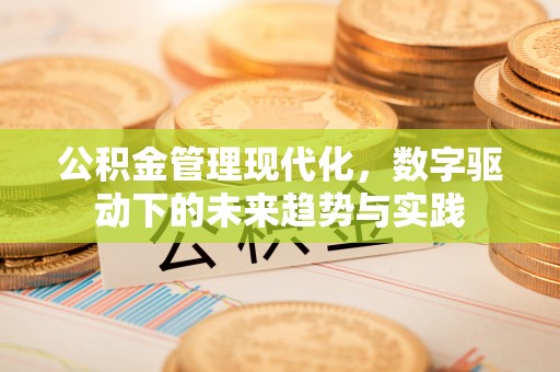 洪湖公积金管理现代化，数字驱动下的未来趋势与实践