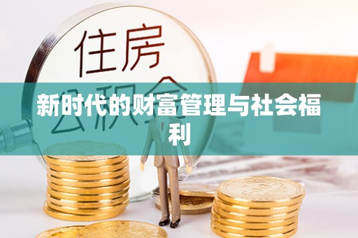 洪湖新时代的财富管理与社会福利