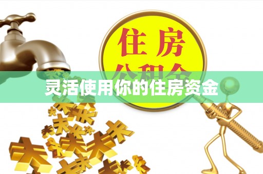 洪湖灵活使用你的住房资金