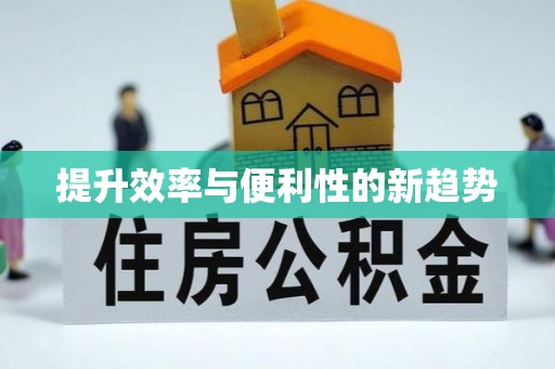 洪湖提升效率与便利性的新趋势