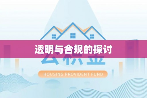 洪湖透明与合规的探讨