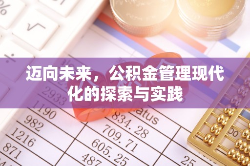 洪湖迈向未来，公积金管理现代化的探索与实践