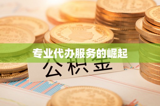 洪湖专业代办服务的崛起