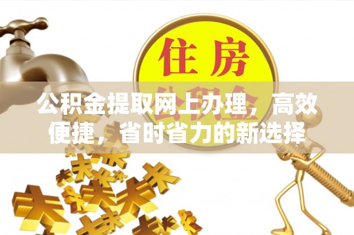 洪湖公积金提取网上办理，高效便捷，省时省力的新选择