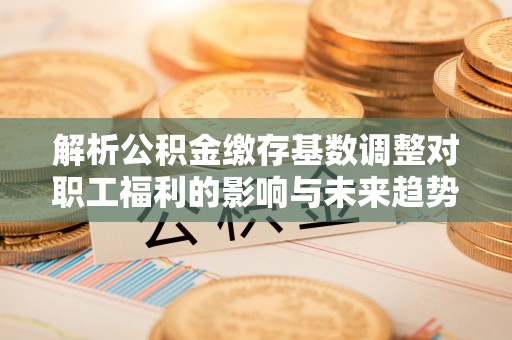 洪湖解析公积金缴存基数调整对职工福利的影响与未来趋势