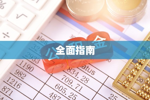 洪湖全面指南