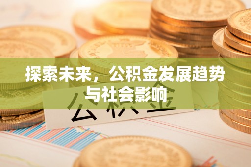 洪湖探索未来，公积金发展趋势与社会影响