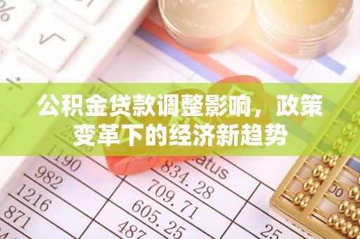 洪湖公积金贷款调整影响，政策变革下的经济新趋势