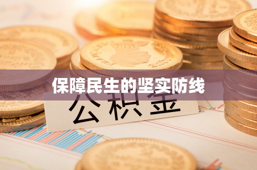 洪湖保障民生的坚实防线