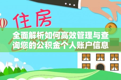 洪湖全面解析如何高效管理与查询您的公积金个人账户信息