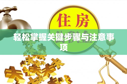 洪湖轻松掌握关键步骤与注意事项