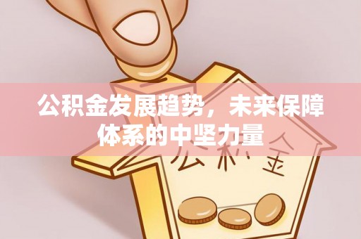 洪湖公积金发展趋势，未来保障体系的中坚力量
