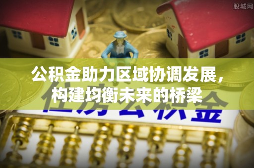 洪湖公积金助力区域协调发展，构建均衡未来的桥梁