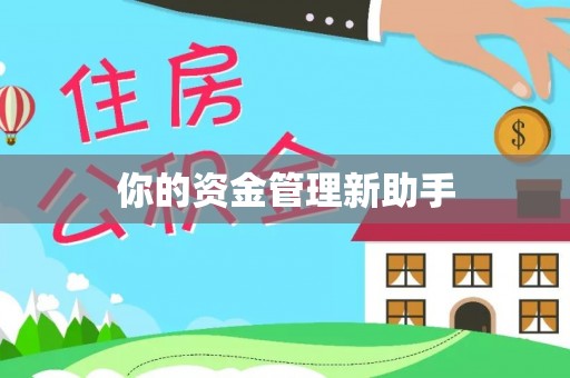 洪湖你的资金管理新助手