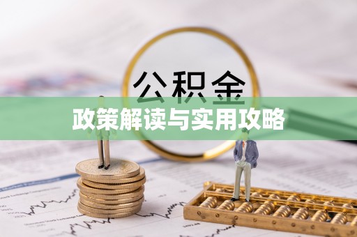 洪湖政策解读与实用攻略