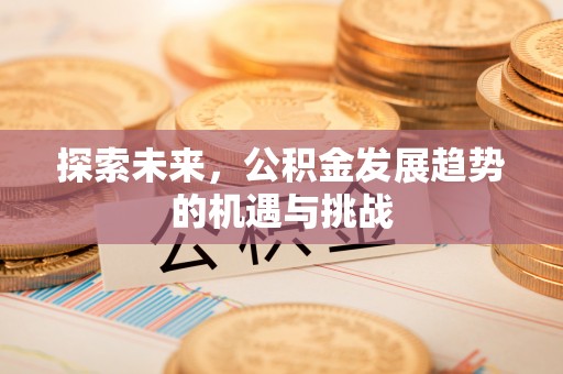 洪湖探索未来，公积金发展趋势的机遇与挑战