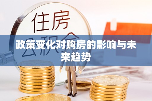 洪湖政策变化对购房的影响与未来趋势