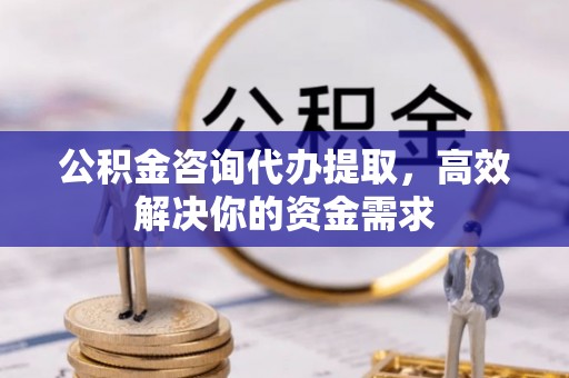 洪湖公积金咨询代办提取，高效解决你的资金需求