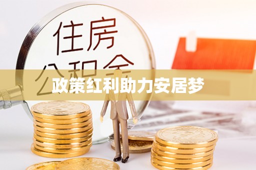 洪湖政策红利助力安居梦