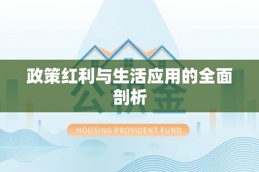 洪湖政策红利与生活应用的全面剖析