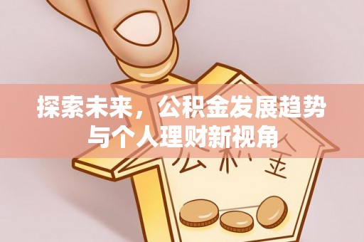 洪湖探索未来，公积金发展趋势与个人理财新视角