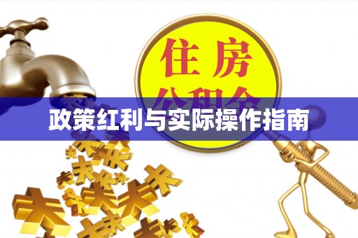 洪湖政策红利与实际操作指南