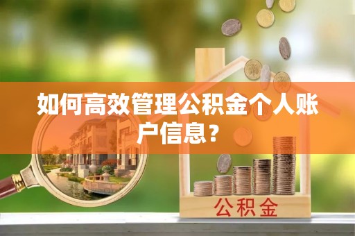 洪湖如何高效管理公积金个人账户信息？