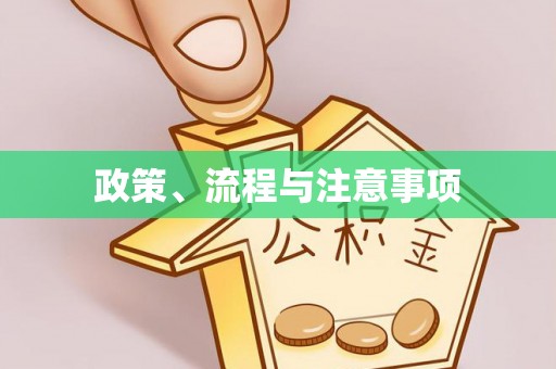 洪湖政策、流程与注意事项