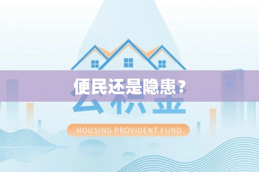 洪湖便民还是隐患？
