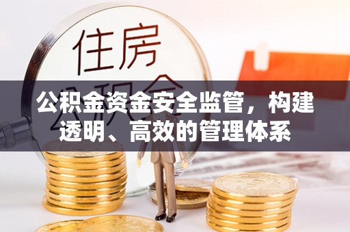 洪湖公积金资金安全监管，构建透明、高效的管理体系