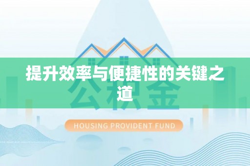 洪湖提升效率与便捷性的关键之道
