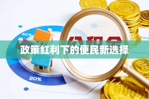 洪湖政策红利下的便民新选择