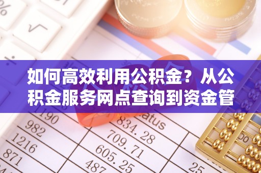 洪湖如何高效利用公积金？从公积金服务网点查询到资金管理全攻略
