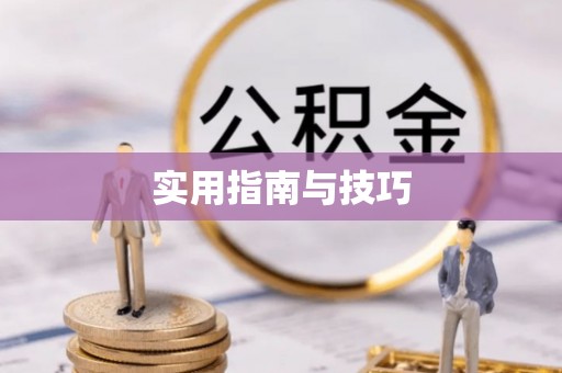 洪湖实用指南与技巧