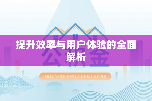 洪湖提升效率与用户体验的全面解析
