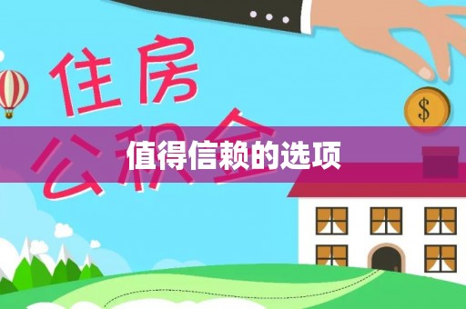 洪湖值得信赖的选项
