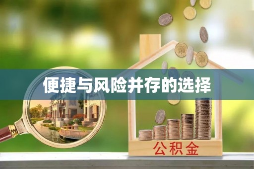 洪湖便捷与风险并存的选择