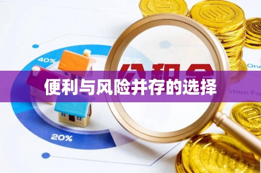 洪湖便利与风险并存的选择