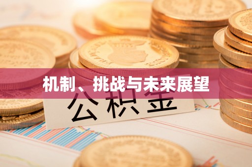 洪湖机制、挑战与未来展望