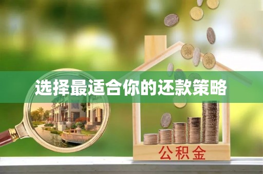 洪湖选择最适合你的还款策略