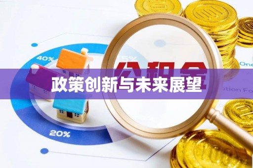 洪湖政策创新与未来展望
