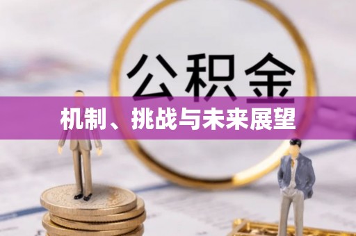 洪湖机制、挑战与未来展望